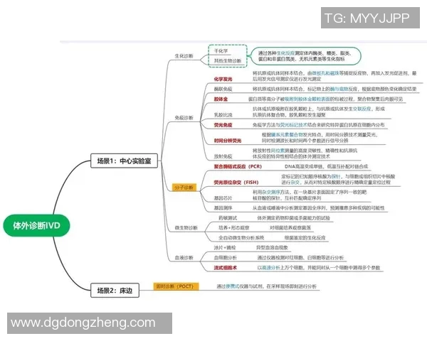 成都足球队与深圳足球队赛后技术分析与战术复盘探讨 成都足球队与深圳足球队赛后技术分析与战术复盘探讨