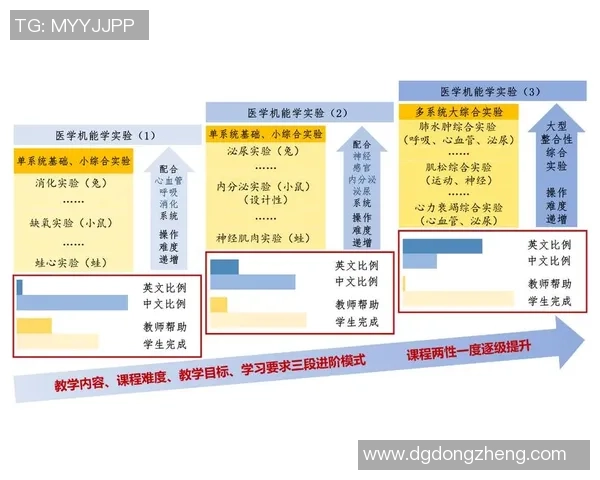 成都乒乓球队迎接挑战赛转型之路的探索与创新之旅