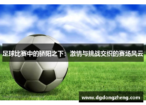 足球比赛中的骄阳之下：激情与挑战交织的赛场风云