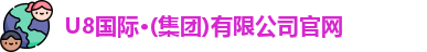 U8国际